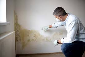 Best Mold Removal for HVAC Installations  in Diamond, IL